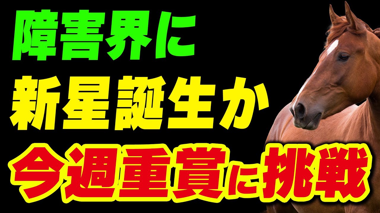 障害レース界に新星誕生か！オジュウチョウサンに次ぐヒーローになれるか