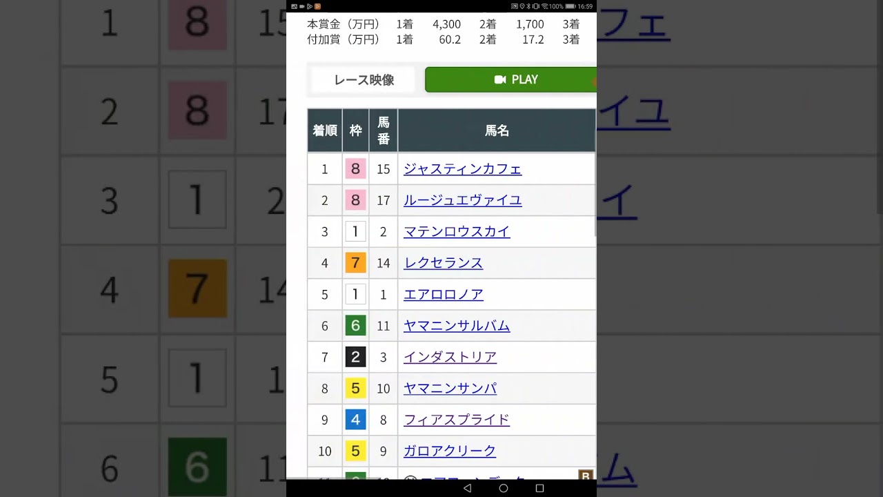 6/11　G3エプソムカップを楽しむ馬杉ひにり