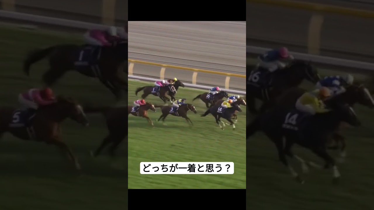 どっち？※答えはコメント欄 #天皇賞秋 #ダイワスカーレット #ウオッカ #競馬 #ウマ娘