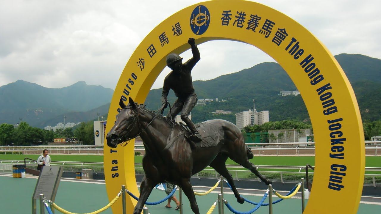 香港の伝説🐎サイレントウィットネス#競馬 #馬 #サイレントウィットネス#SilentWitness#精英大師#horse #香港 #スプリンターズステークス