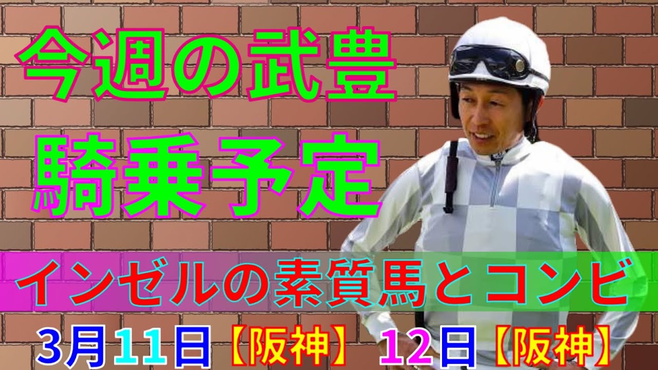 【競馬】今週の武豊騎乗予定3月11日、12日は阪神で騎乗します！インゼルの素質馬やフィリーズレビューでの権利取り！