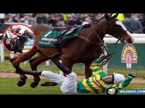 ナイスネイチャ35歳で死亡 有馬記念3年 連続3着の個性派 存命中のJRA重賞勝ち馬 で最高齢