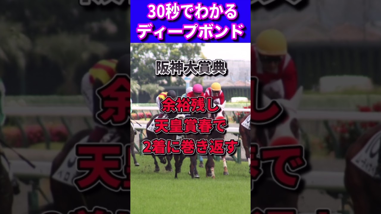 【宝塚記念2023】30秒でわかるディープボンド