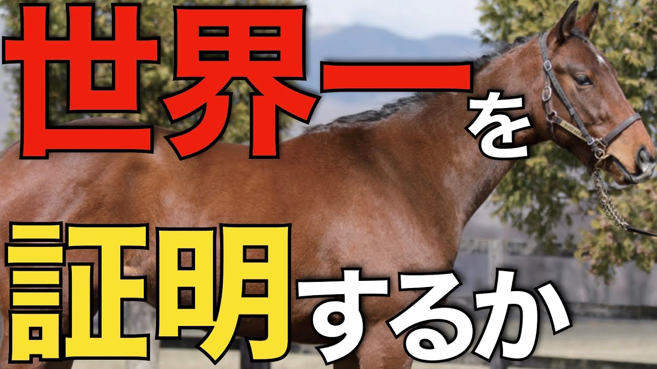【世界が注目】最強馬イクイノックスがここでも力を見せつけるのか！宝塚記念を展望。