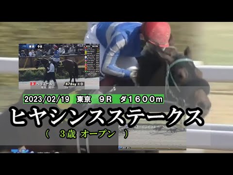 2023/02/19【パドック返し馬つき】東京9R　ヒヤシンスステークス（３歳オープン）　　☆ペリエール　ヘニーヒューズ　＃レースは12分ころから