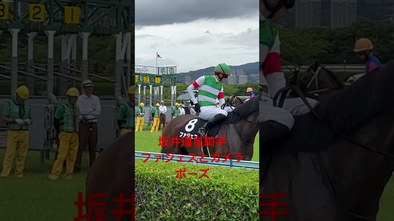 坂井瑠星騎手　ファジェスとカメラポーズ #shorts #競馬 #坂井瑠星  #阪神競馬場 #三田特別