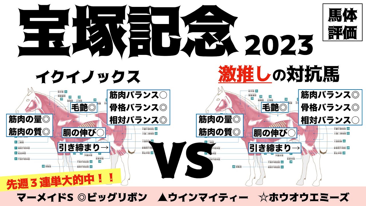 【宝塚記念2023】イクイノックスさすが過ぎるだろwwただ…油断は禁物かもね。【馬体評価】