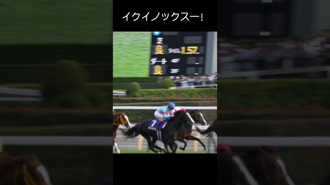 現地映像「イクイノックス」天皇賞(秋)2022