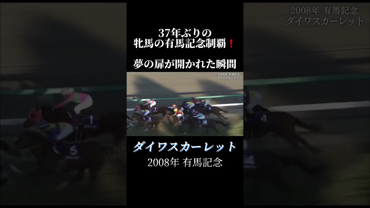 ダイワスカーレット 37年ぶり❗️牝馬の有馬記念の制覇❗️   2008年有馬記念　鞍上:安藤勝巳 #shorts #競馬 #ダイワスカーレット #有馬記念　#安藤勝己