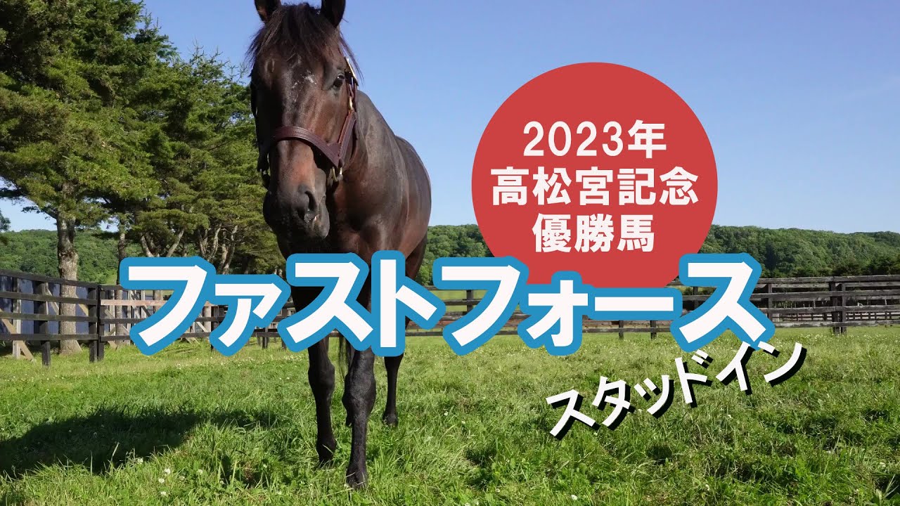 ファストフォース First Force～2023年高松宮記念優勝馬