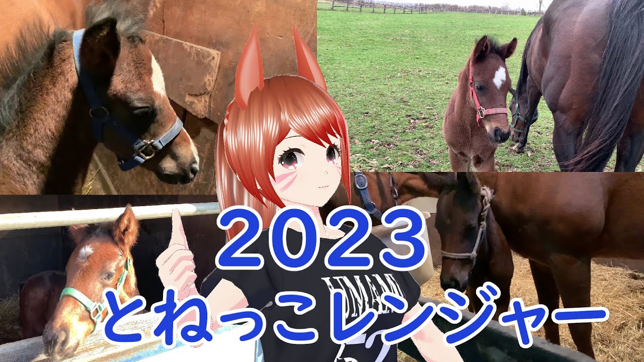 2023 とねっこレンジャー 4頭のとねっこを紹介します！