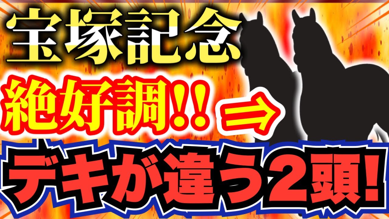 宝塚記念 2023　最終追い切り 【この２頭で決まり】 追い切り推奨馬 回収率100％ 超！