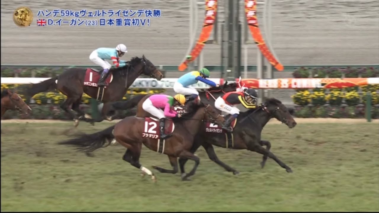 2023年｜第70回 日経新春杯・GⅡ｜ヴェルトライゼンデ