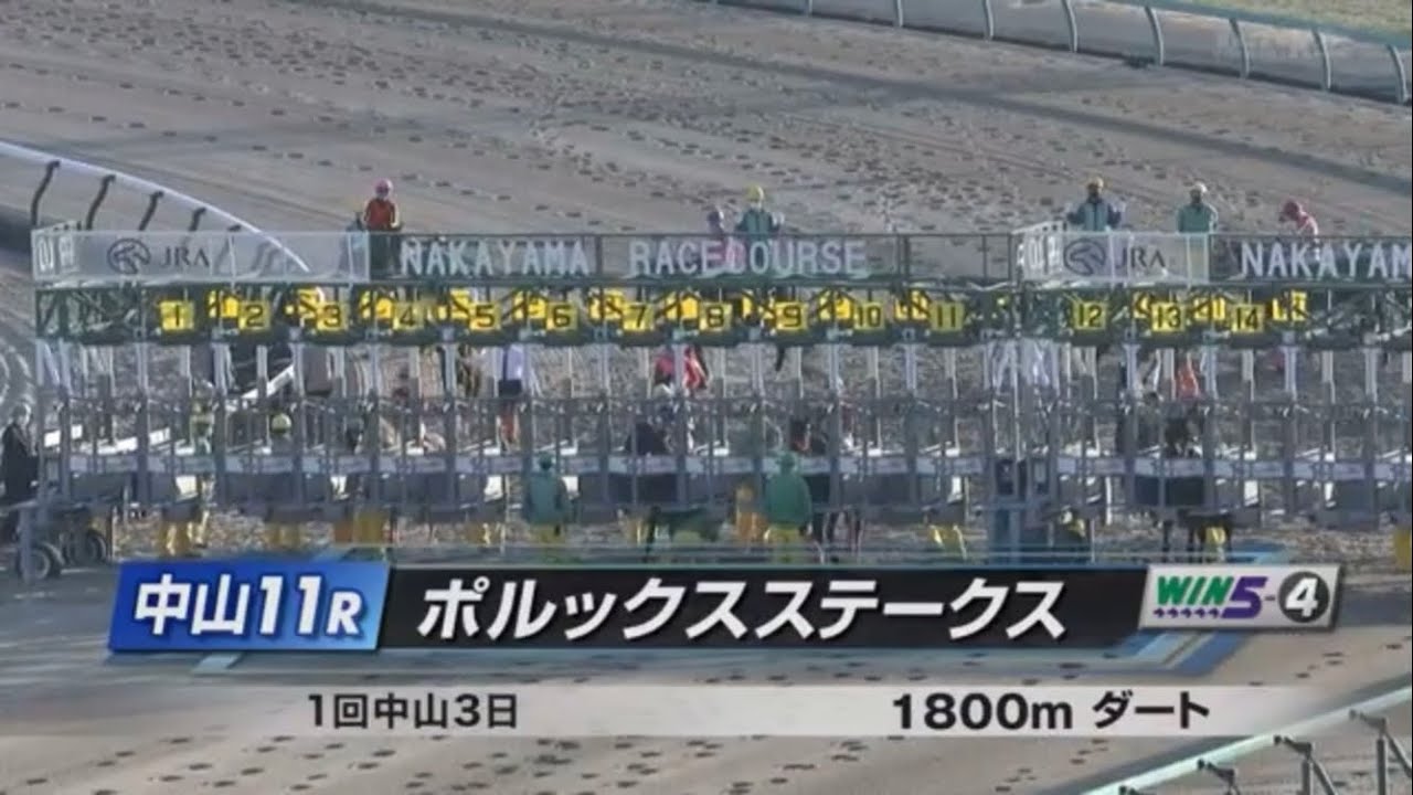 ポルックスステークス