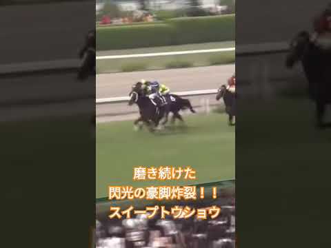 牡馬一線級を置き去りにした閃光の末脚！スイープトウショウ🐎#競馬 #馬 #宝塚記念 #スイープトウショウ #池添謙一 #ウマ娘
