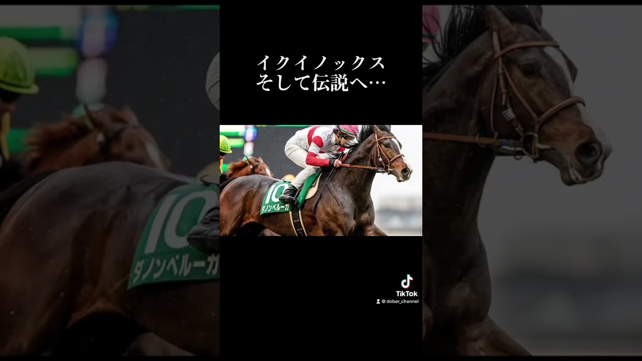 イクイノックス×カオスが極まる|天皇賞秋2022