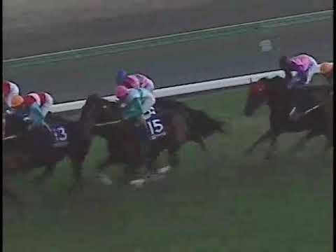 第４２回　有馬記念　シルクジャスティス