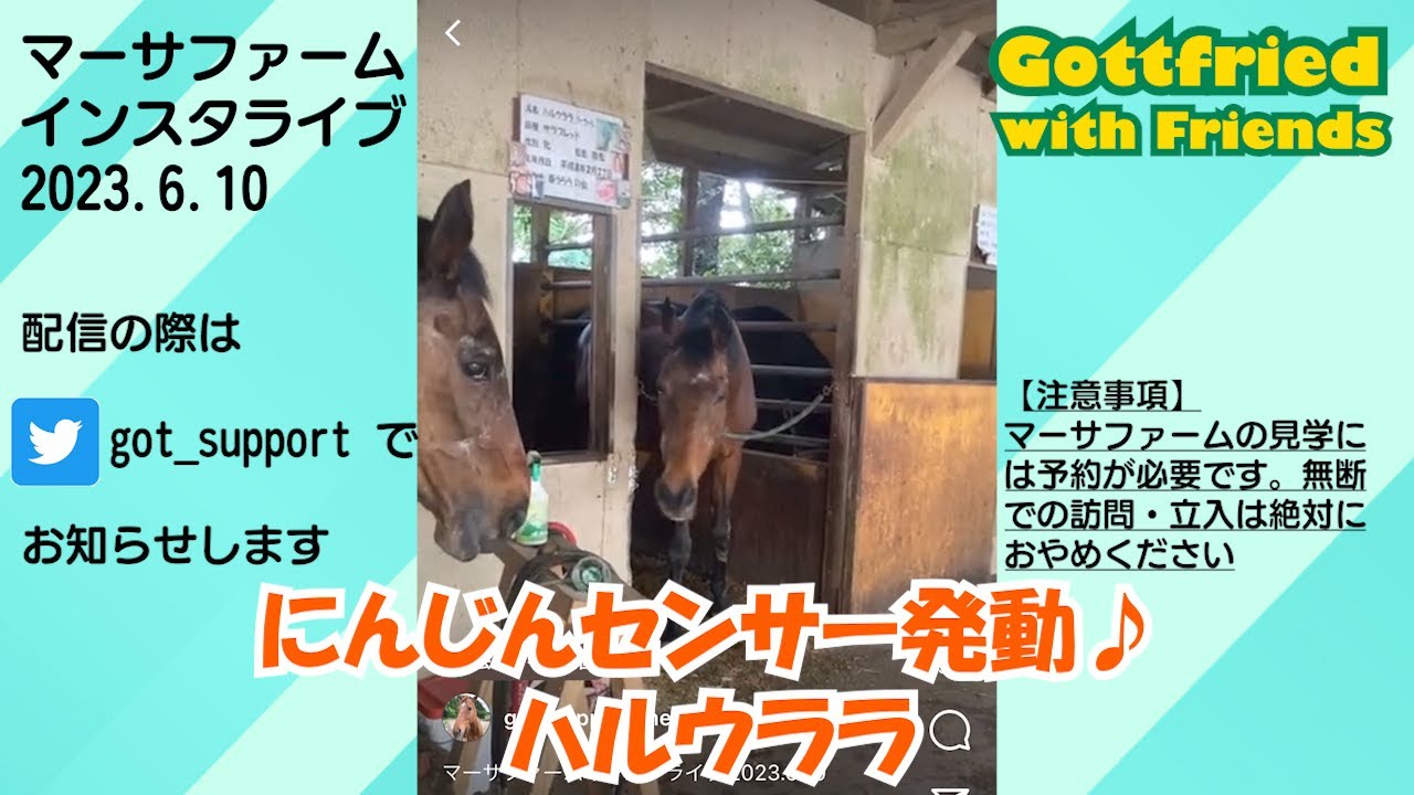 マーサファームインスタライブ【2023年6月】