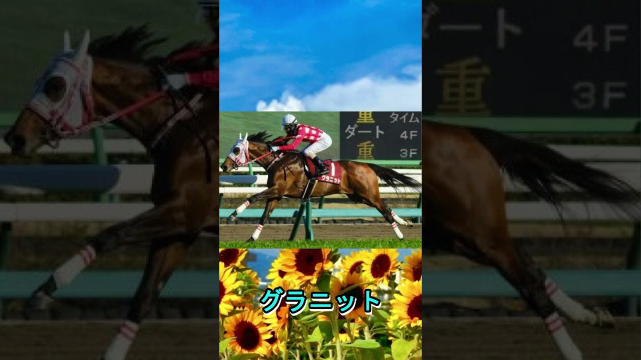 【 2023 ラジオNIKKEI賞 】注目馬１分紹介　次世代のパンサラッサ！？大逃げ界隈の期待の星　限界競馬配信Vtuberが選ぶ渾身の一頭とは...？　（ グラニット ）