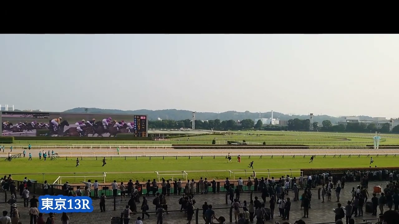 【東京第13レース発走!?】芝コース開放ステークス（2023年6月25日）直線の様子