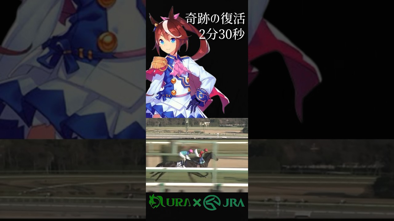 【このレコードレースを見て！】 #有馬記念 #ゼンノロブロイ #レコードタイム #トウカイテイオー