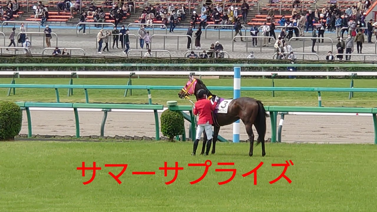 【サマーサプライズ】中山4R 障害4歳以上未勝利　落馬後、馬運車に乗るまで　2023.4.2