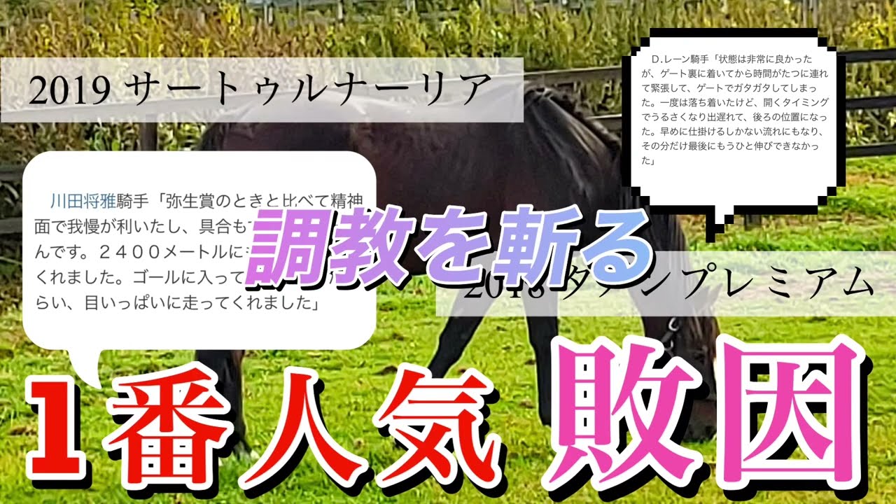 【好調教馬】 東京優駿 日本 ダービー 2023  S評価 はこの馬だ！だ❣️