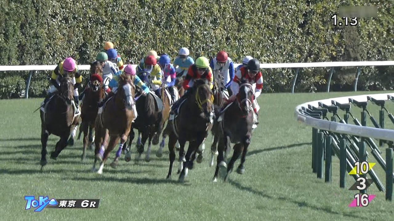 2023 01 29 東京6R 3歳新馬 ロードデルレイ(坂井瑠星)