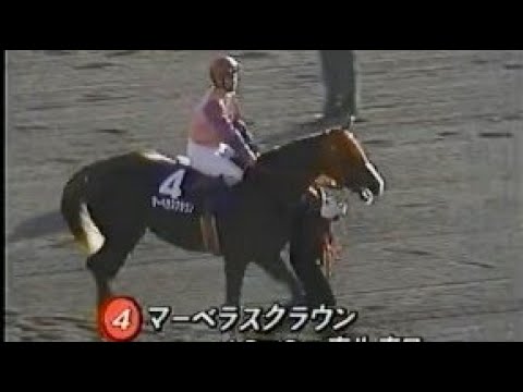 第１４回　ジャパンカップ （ＧⅠ）　本馬場入場　1994.11.27　　出走馬：サンドピット、パラダイスクリーク、アップルツリー、エルナンド、ジューン、マーベラスクラウン、レイントラップ他