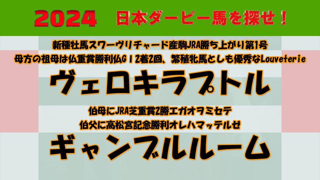 2024年日本ダービー馬を探せ！ #4　新種牡馬スワーヴリチャード産駒JRA勝ち上がり第1号ヴェロキラプトル、母方の曾祖母がオークス馬ダイナカールであるギャンブルルームを注目馬として取り上げました。