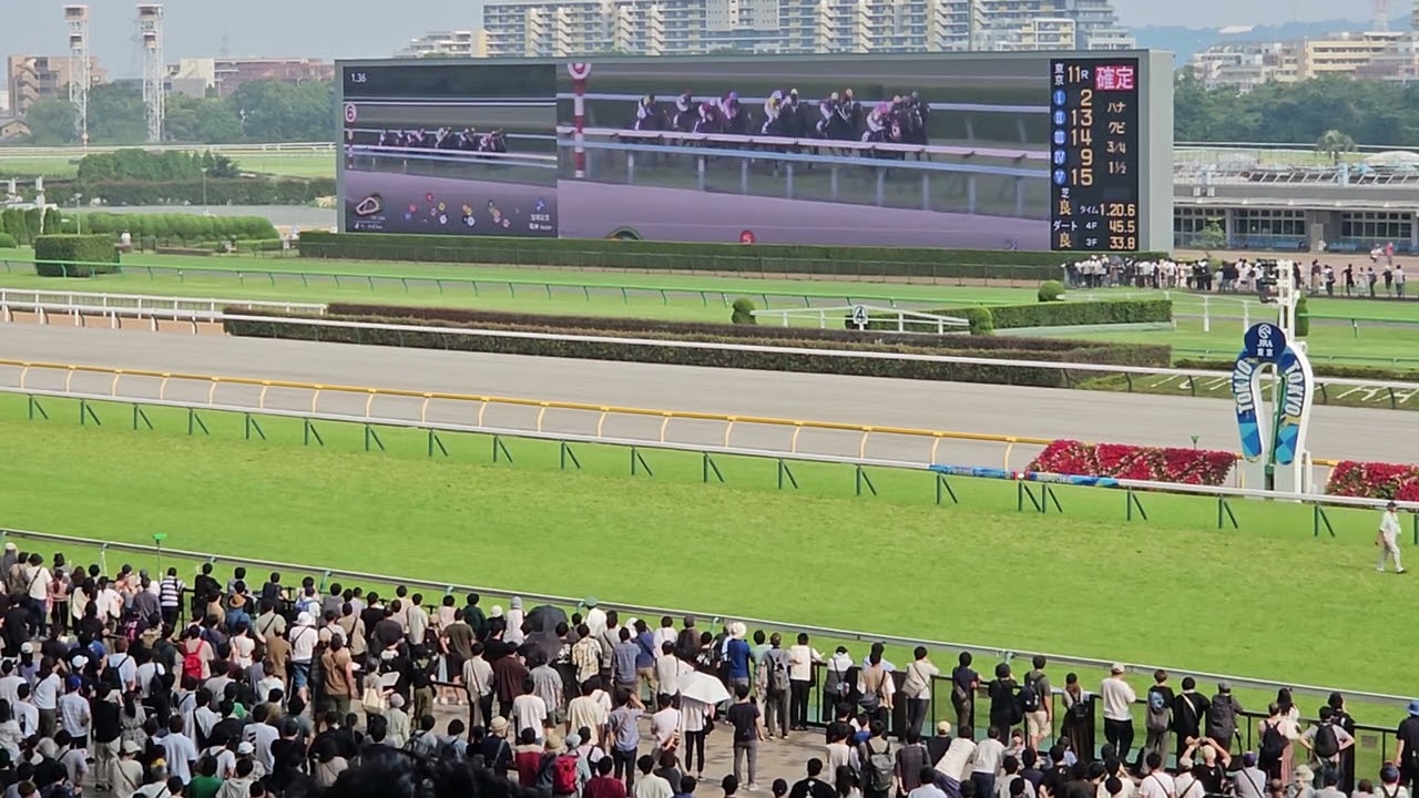 第64回宝塚記念2023 東京競馬場の様子