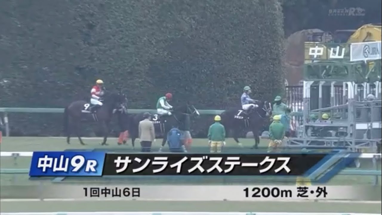 サンライズステークス