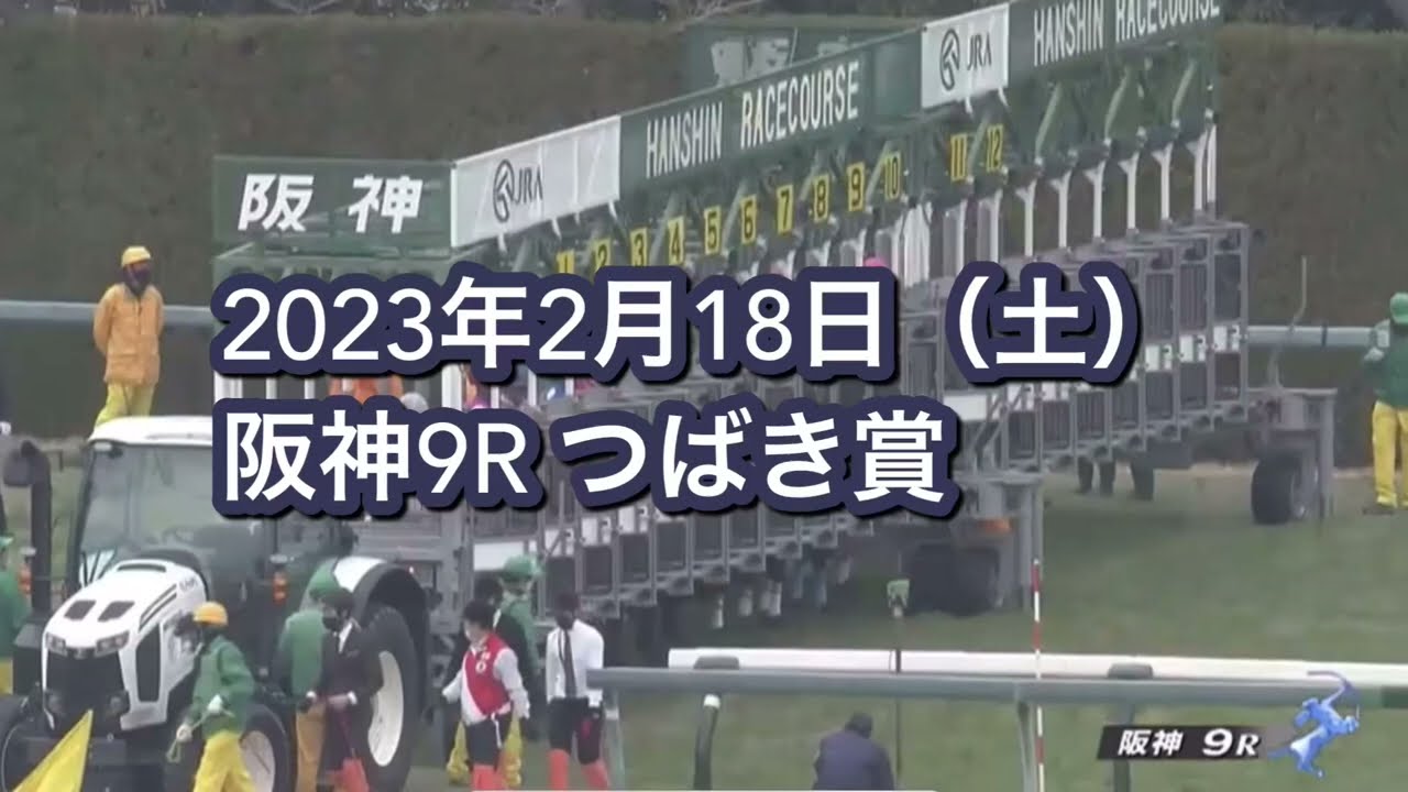 2023年2月18日（土）阪神9R つばき賞レース映像【ロードデルレイ】