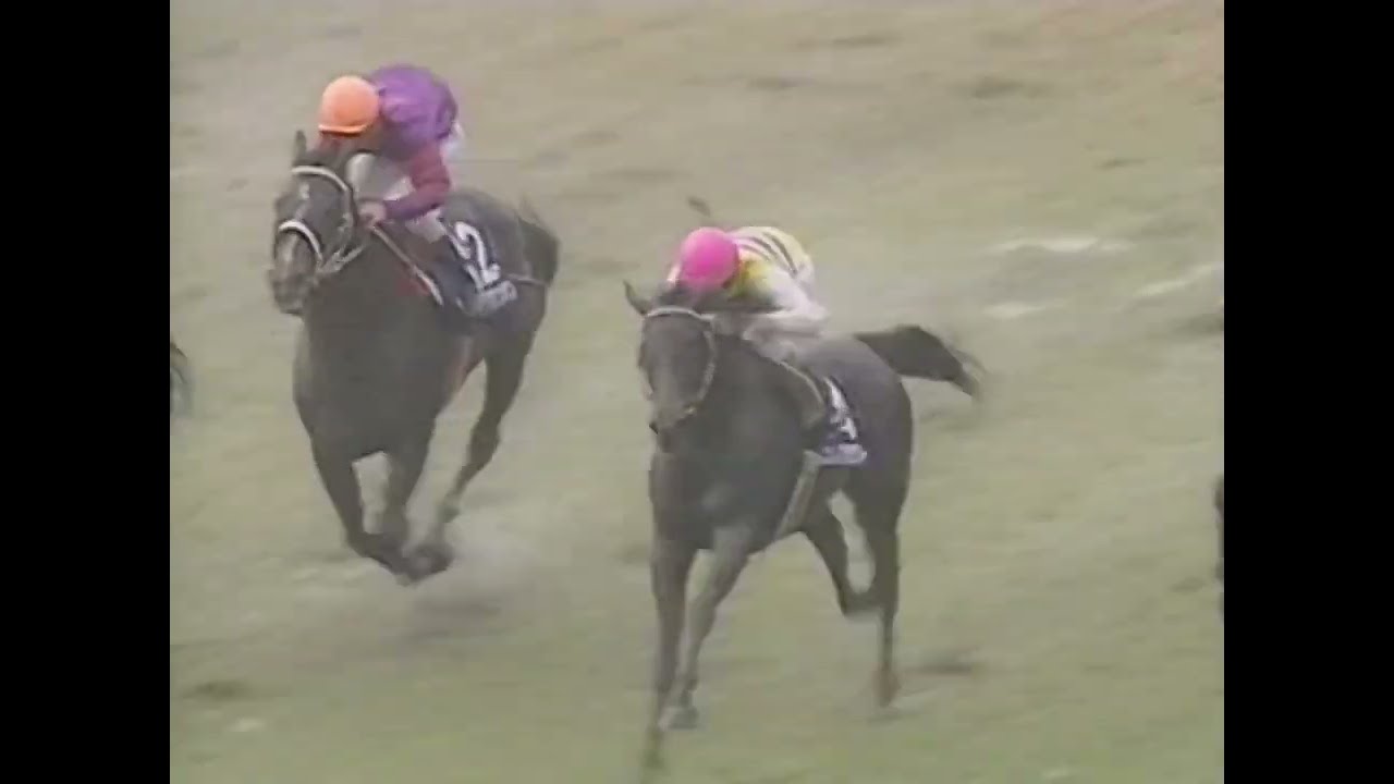ニシノフラワー 1993年 第10回マイルチャンピオンシップ(GI)  (優勝馬：シンコウラブリィ) (実況：ラジオたんぱ)