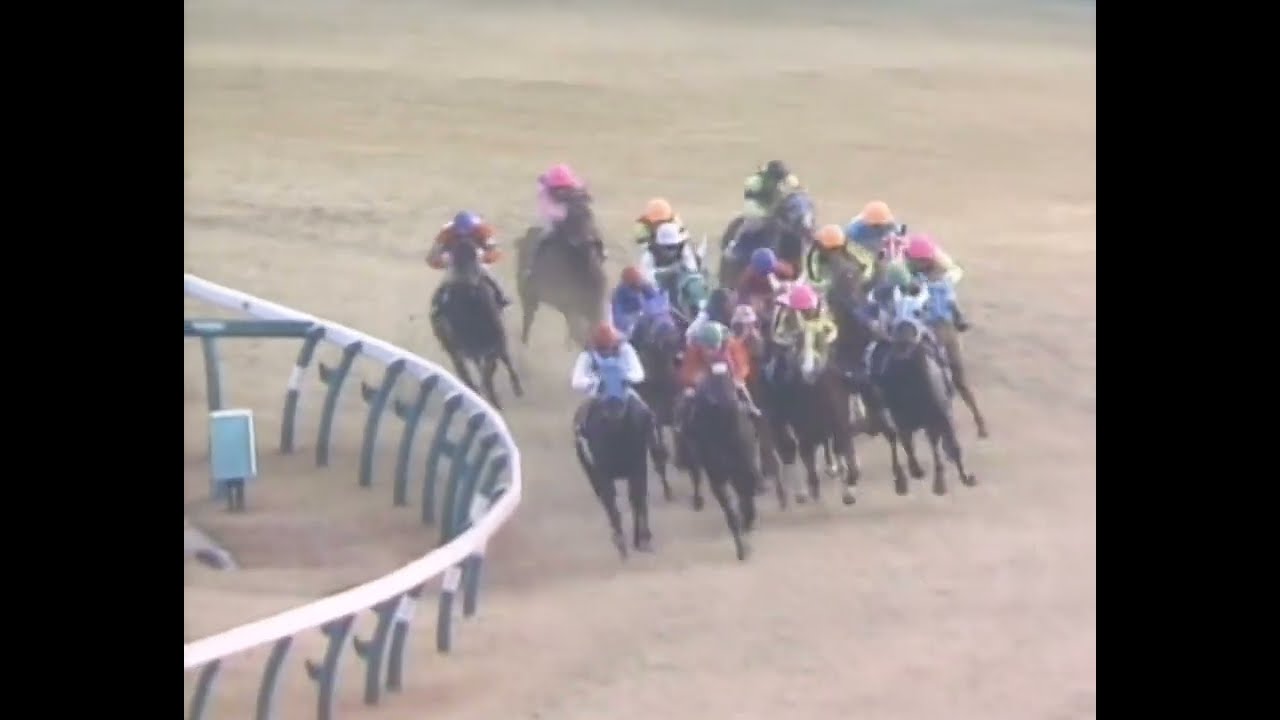 ダイタクヘリオス 1990年 第24回スプリンターズステークス(GI) (優勝馬：バンブーメモリー)