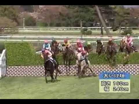 中山グランドジャンプ メルシーモンサン 20100417