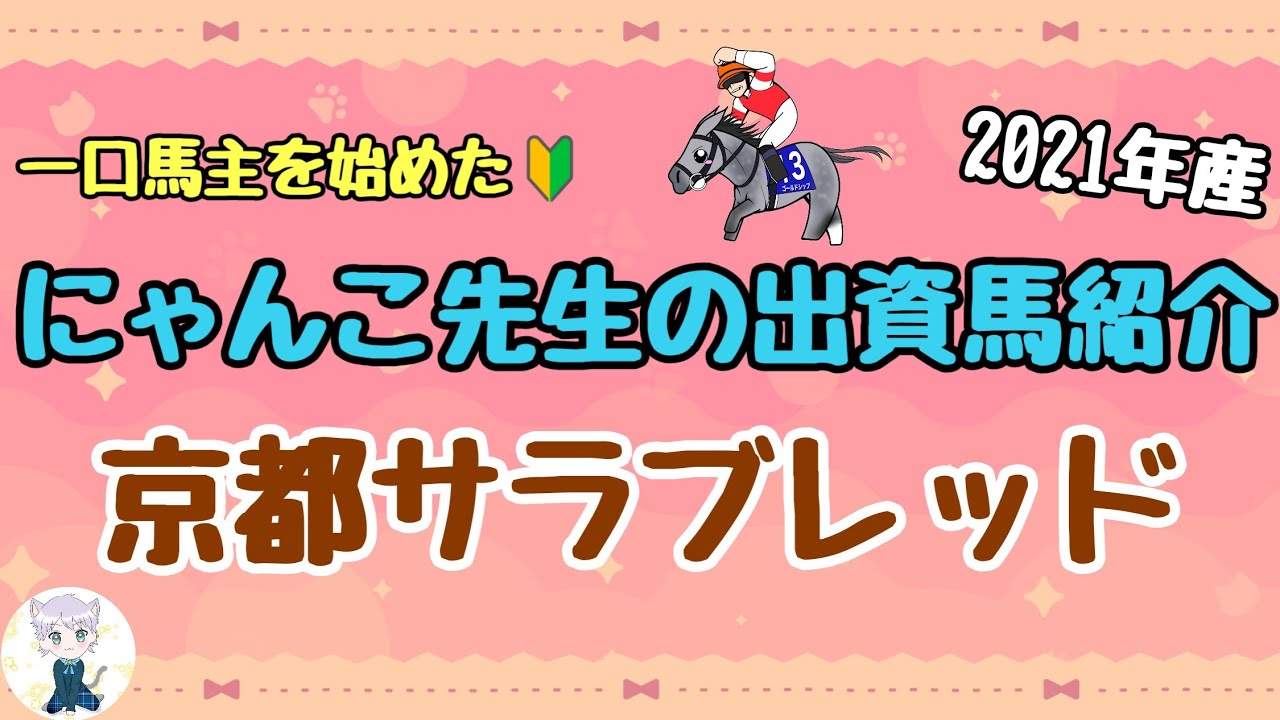 【一口馬主】2021年産出資馬紹介⑤京都サラブレッド編！