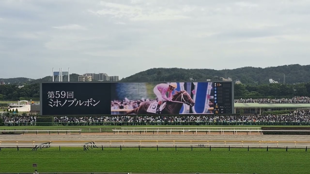 第90回東京優駿／日本ダービー出走前映像（2023年5月28日）