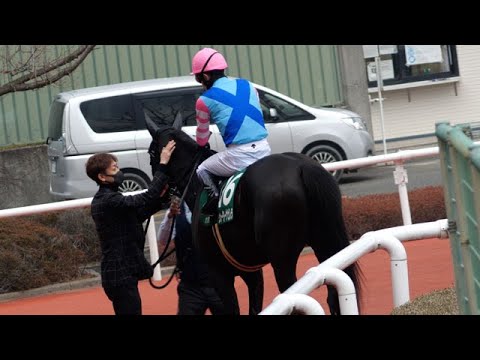 【武豊】京都牝馬Ｓ完走のウォーターナビレラを労う武幸四郎調教師