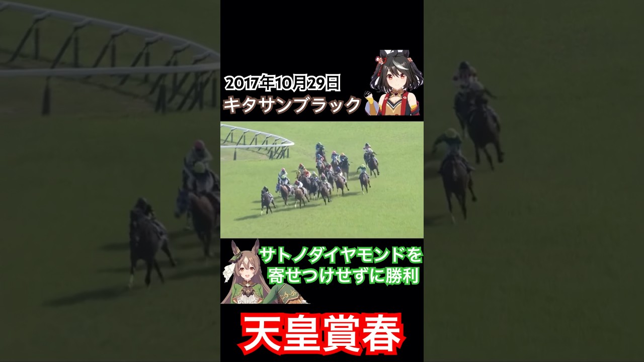 【ウマ娘】キタサンブラック　レース映像　天皇賞春