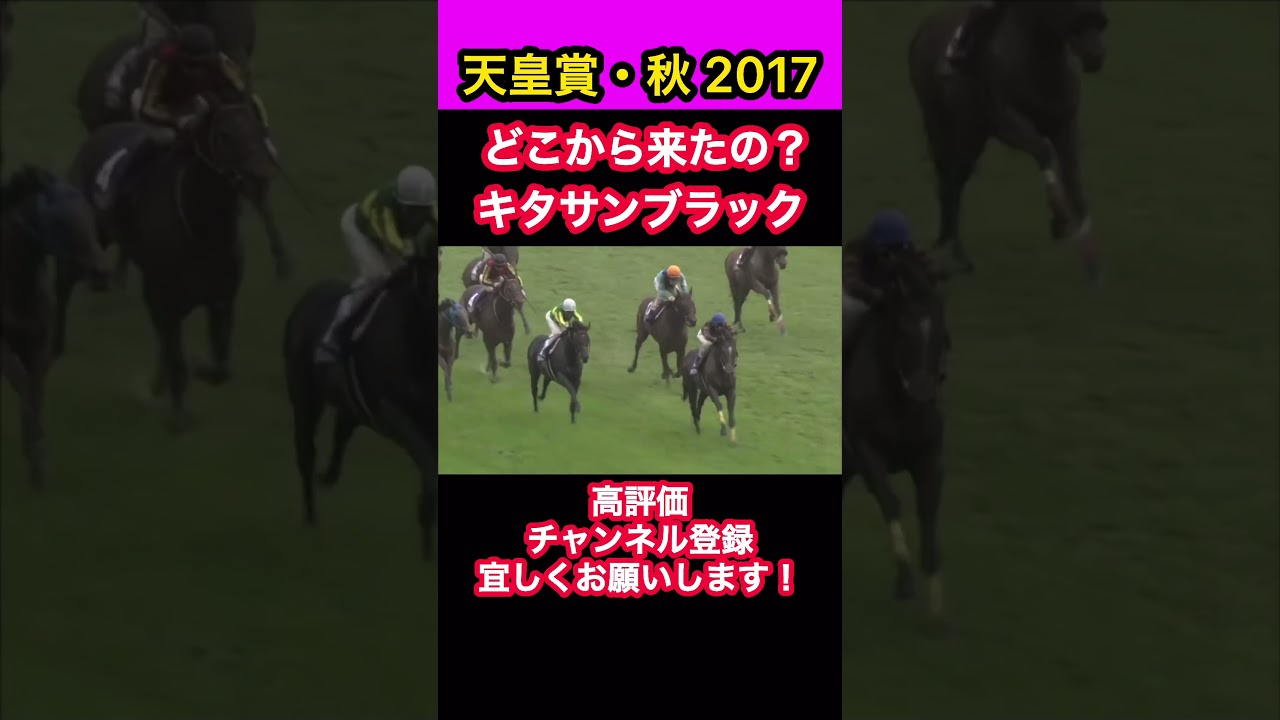 【競馬】天皇賞秋2017、どこから来たの？キタサンブラック#shorts #short #キタサンブラック# #天皇賞秋 #競馬