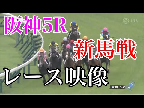6/10 阪神5R 新馬戦 レース映像