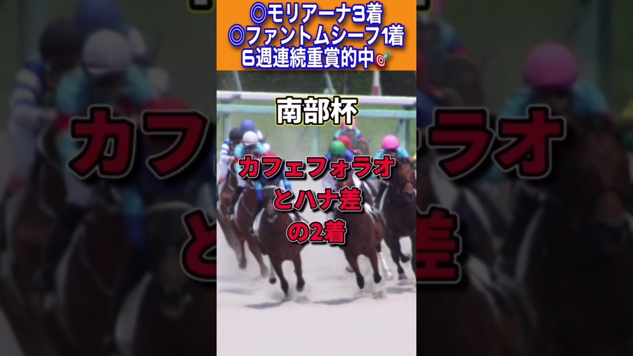 【フェブラリーステークス2023】30秒でわかるヘリオス