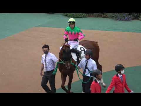 【日本ダービー2023】 全頭パドック 現地映像 タスティエーラ