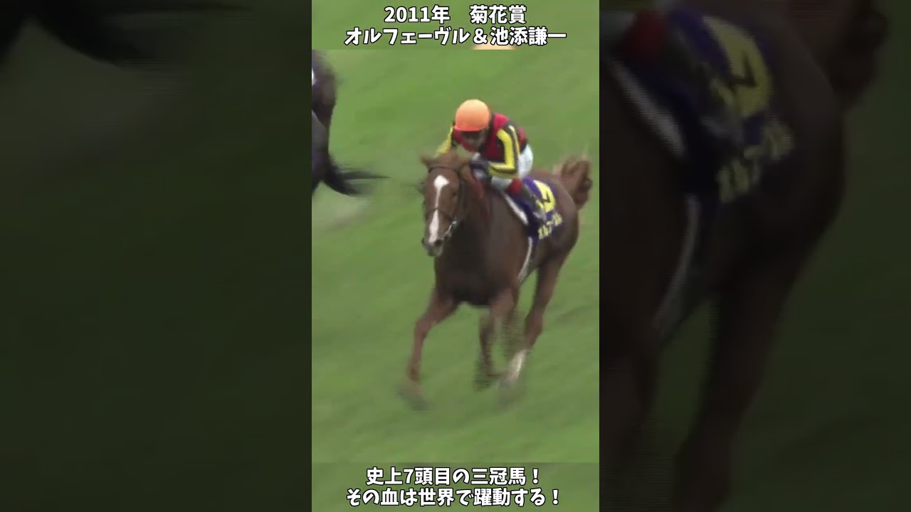 【競馬】shortで見る三冠の瞬間『オルフェーヴル』世界で躍動する暴君の血！【菊花賞】 #short