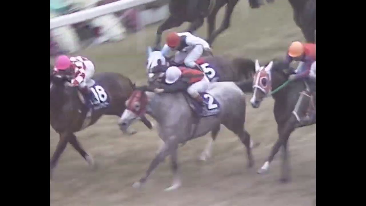ダイタクヘリオス 1990年 第7回マイルチャンピオンシップ(GI) (優勝馬：パッシングショット)