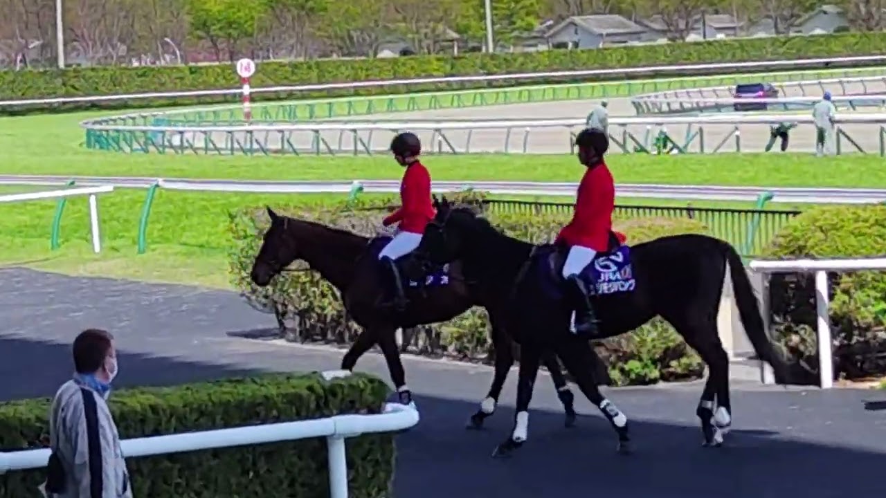 ヨシオ、誘導馬デビューだった