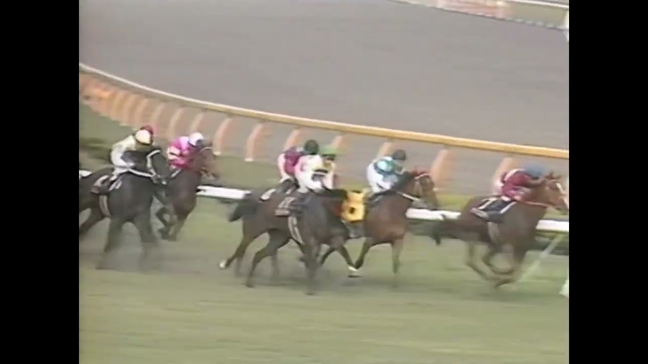 ニシノフラワー 1992年 第53回優駿牝馬(オークス)(GI) (優勝馬：アドラーブル) (実況：ラジオたんぱ)