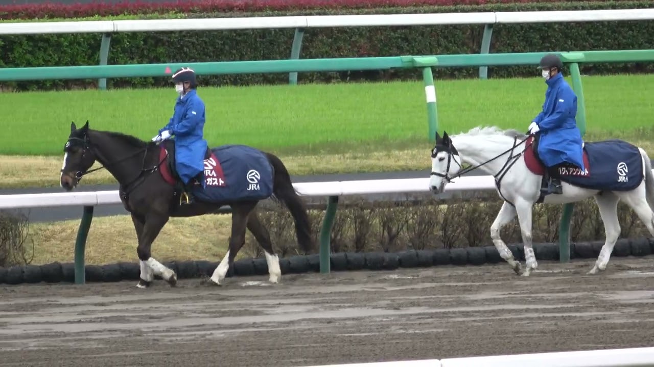 【誘導馬】何か落ちてません⁉