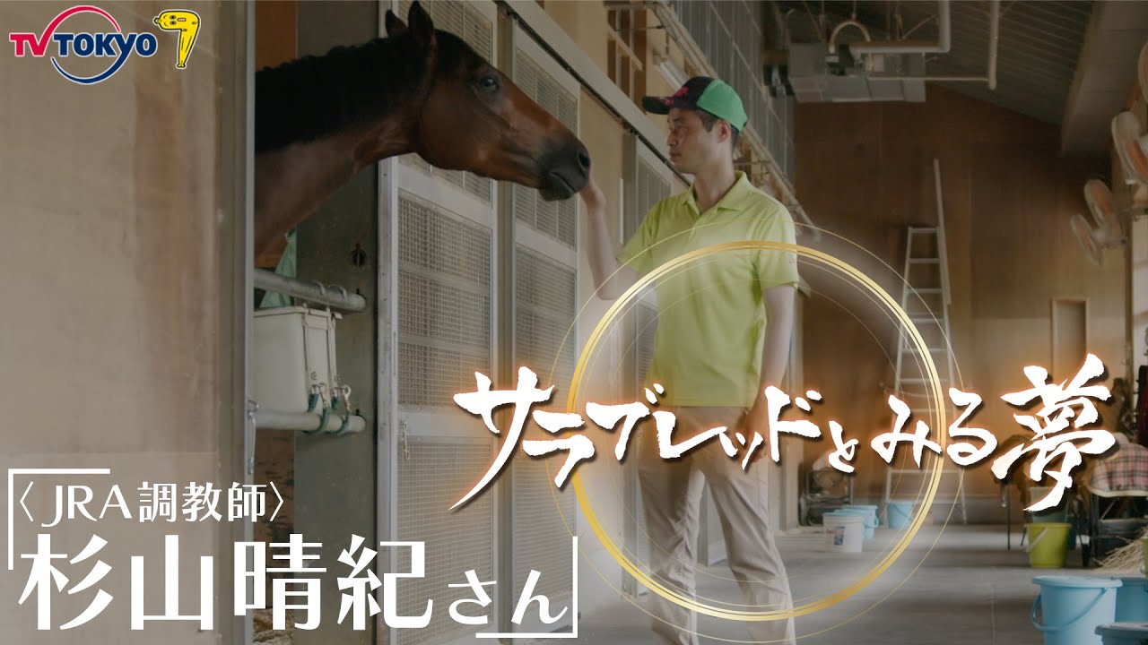 #サラブレッドとみる夢 第１話 杉山晴紀さん（ＪＲＡ調教師）